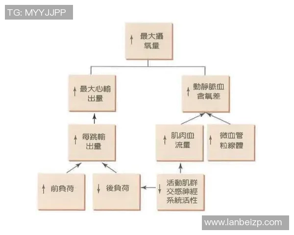 提升心肺功能塑造健康体魄全方位解析有氧运动的益处与实施方法